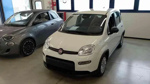 Annonce FIAT PANDA Hybride 2024 d'occasion 