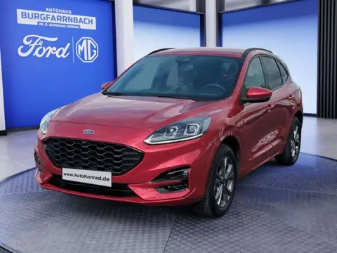 Annonce FORD KUGA Hybride 2021 d'occasion 