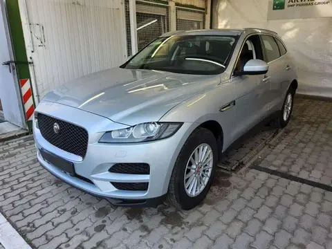 Used JAGUAR F-PACE Diesel 2020 Ad 