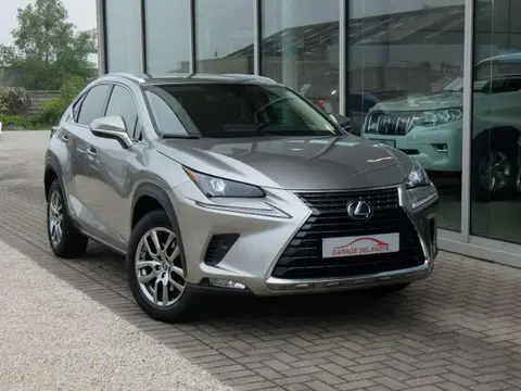 Annonce LEXUS NX Hybride 2021 d'occasion 