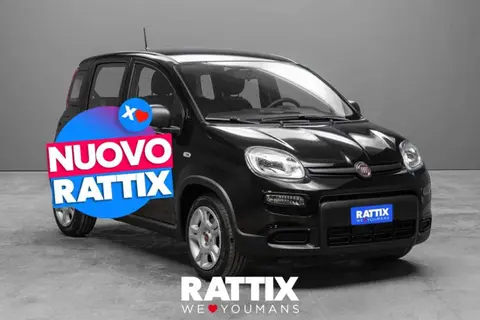 Used FIAT PANDA Hybrid 2024 Ad 