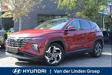 Used HYUNDAI TUCSON Hybrid 2022 Ad 