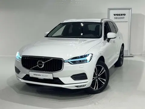 Used VOLVO XC60 Diesel 2018 Ad 