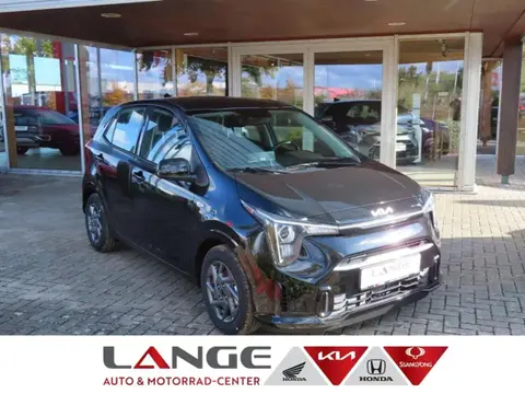 Used KIA PICANTO Petrol 2024 Ad 