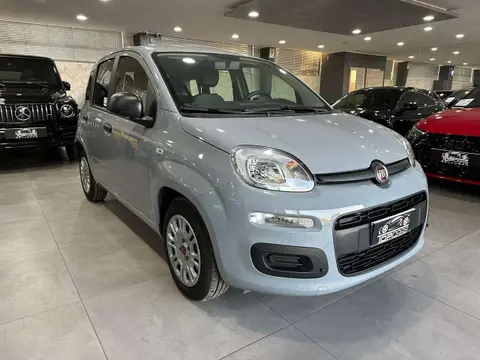 Used FIAT PANDA Hybrid 2021 Ad 