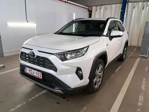 Used TOYOTA RAV4 Hybrid 2020 Ad 