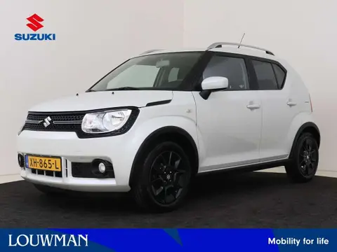 Annonce SUZUKI IGNIS Essence 2019 d'occasion 