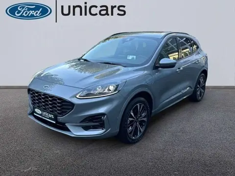 Annonce FORD KUGA Non renseigné 2024 d'occasion 