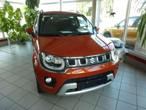 Used SUZUKI IGNIS Petrol 2024 Ad 