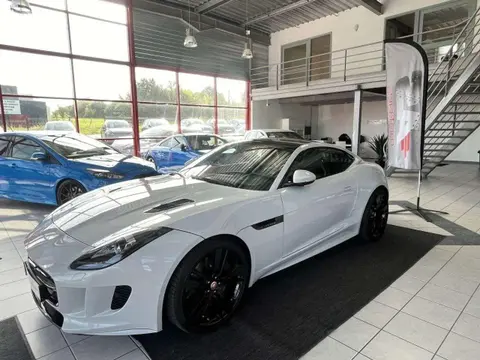 Used JAGUAR F-TYPE Petrol 2015 Ad 