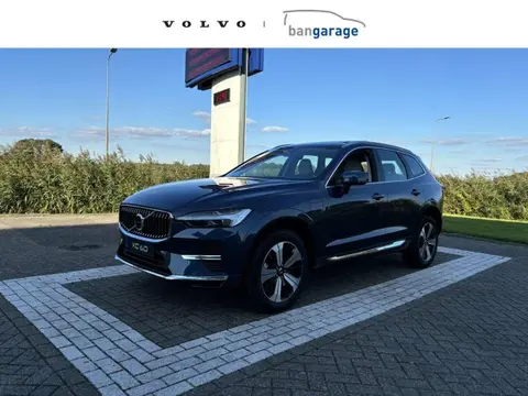 Annonce VOLVO XC60 Hybride 2024 d'occasion 