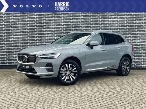 Annonce VOLVO XC60 Hybride 2024 d'occasion 