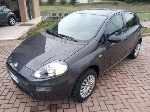 Annonce FIAT PUNTO  2018 d'occasion 