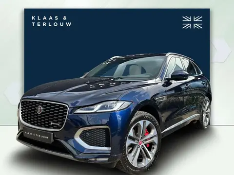 Used JAGUAR F-PACE Hybrid 2022 Ad 