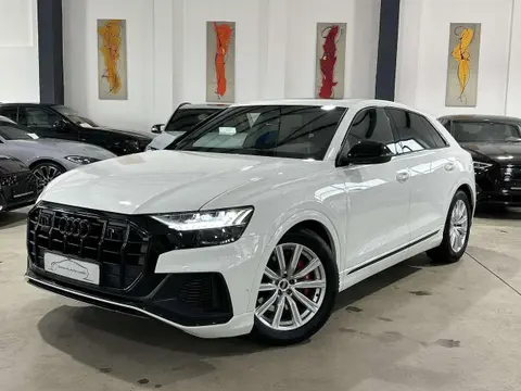 Used AUDI SQ8 Petrol 2023 Ad 