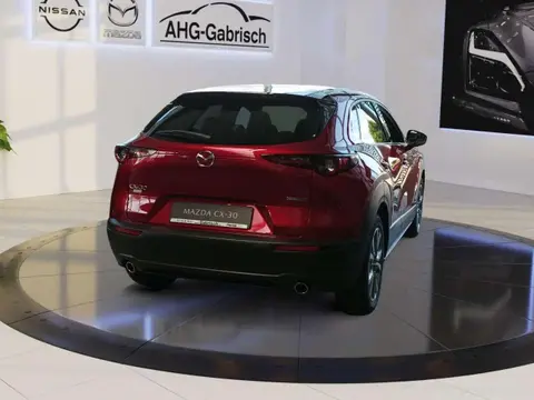 Annonce MAZDA CX-30 Essence 2024 d'occasion Allemagne