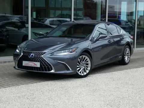 Used LEXUS ES Hybrid 2022 Ad 