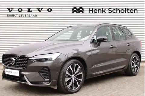 Used VOLVO XC60 Hybrid 2023 Ad 