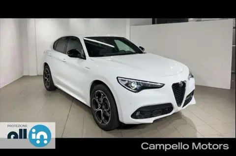 Used ALFA ROMEO STELVIO Diesel 2022 Ad 