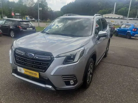 Used SUBARU FORESTER Petrol 2024 Ad 