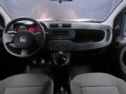 Annonce FIAT PANDA Hybride 2024 d'occasion 