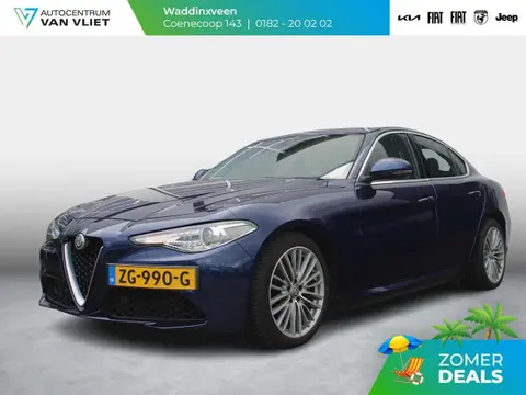 Used ALFA ROMEO GIULIA Petrol 2019 Ad 