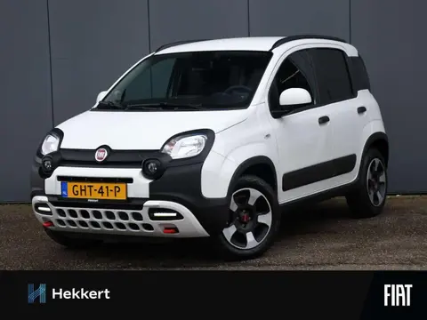 Annonce FIAT PANDA Hybride 2024 d'occasion 