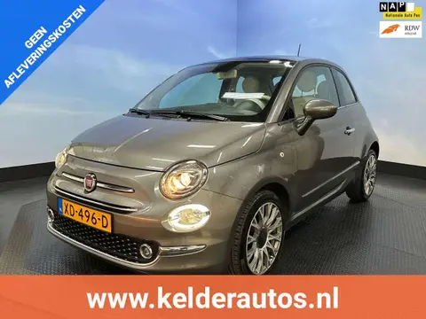 Used FIAT 500 Petrol 2018 Ad 