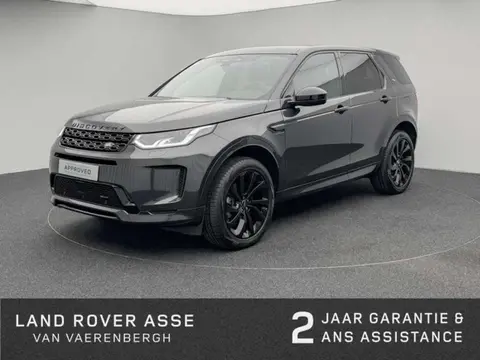 Used LAND ROVER DISCOVERY Hybrid 2023 Ad 