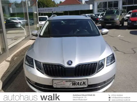 Annonce SKODA OCTAVIA Diesel 2019 d'occasion 