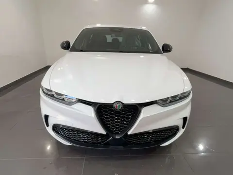 Used ALFA ROMEO TONALE Diesel 2024 Ad 