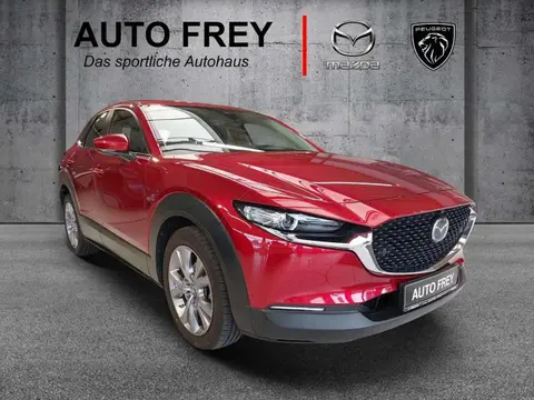 Annonce MAZDA CX-30 Hybride 2020 d'occasion 