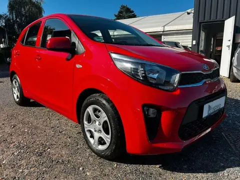 Used KIA PICANTO Petrol 2021 Ad 