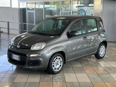 Used FIAT PANDA Hybrid 2021 Ad Italy