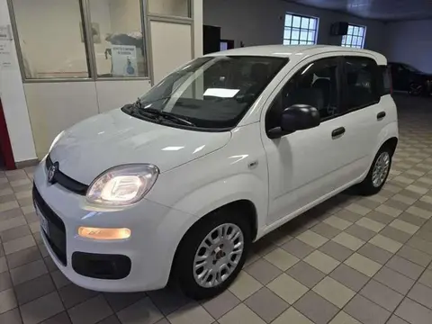 Used FIAT PANDA Hybrid 2021 Ad 