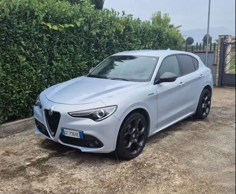 Used ALFA ROMEO STELVIO Diesel 2021 Ad 