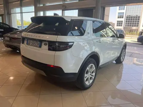 Used LAND ROVER DISCOVERY Hybrid 2020 Ad 