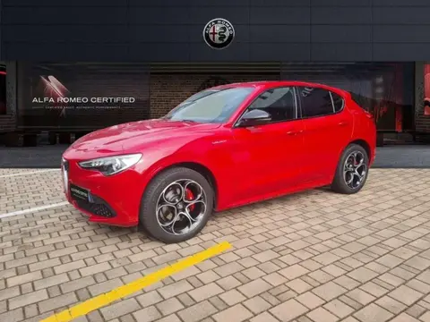 Used ALFA ROMEO STELVIO Petrol 2022 Ad 