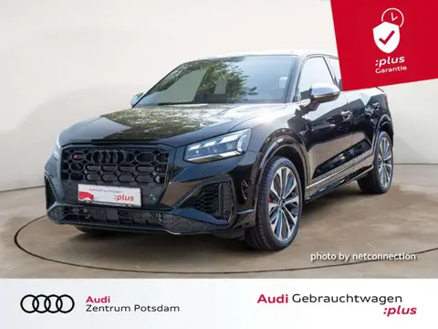 Annonce AUDI SQ2 Essence 2023 d'occasion 