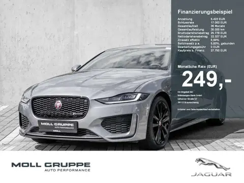 Used JAGUAR XE Petrol 2020 Ad 