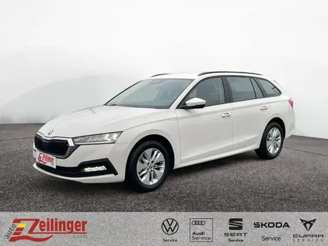 Used SKODA OCTAVIA Petrol 2023 Ad 