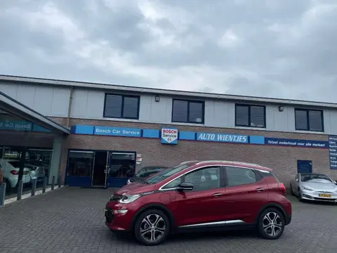 Used OPEL AMPERA Electric 2019 Ad 