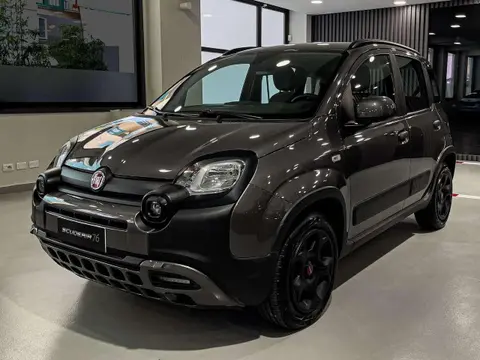 Used FIAT PANDA Hybrid 2023 Ad 