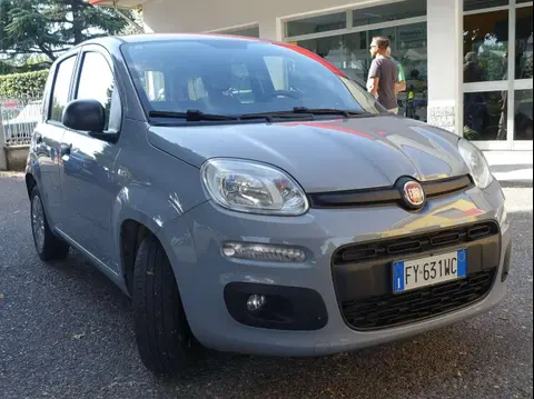 Used FIAT PANDA LPG 2020 Ad 