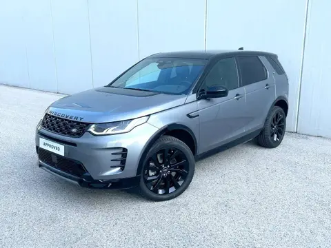 Annonce LAND ROVER DISCOVERY Diesel 2024 d'occasion 