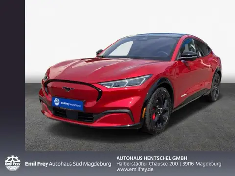 Annonce FORD MUSTANG Électrique 2024 d'occasion 