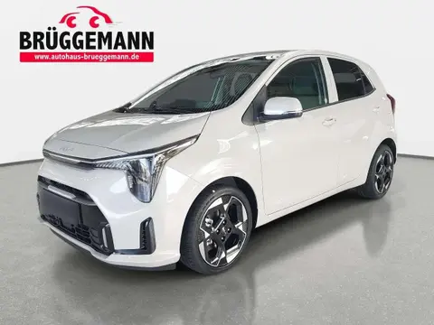 Annonce KIA PICANTO Essence 2024 d'occasion 