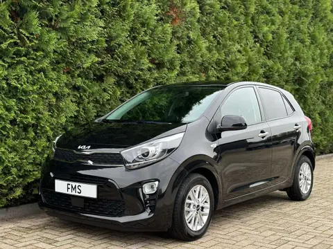 Annonce KIA PICANTO Essence 2024 d'occasion 