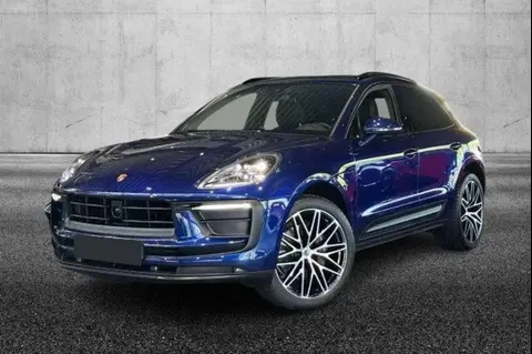 Used PORSCHE MACAN Petrol 2023 Ad 