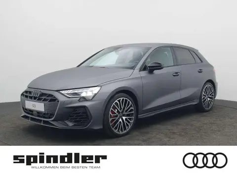 Annonce AUDI S3 Essence 2024 d'occasion 